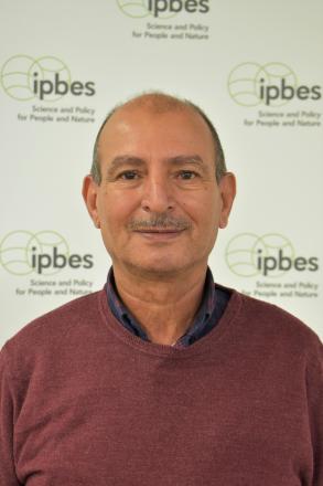 Prof. Mohammed Sghir Taleb