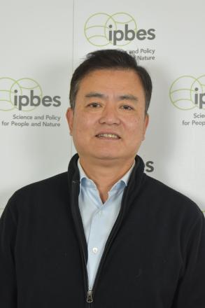 Prof. Ning Wu