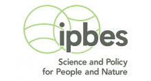  IPBES Secretariat