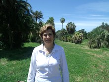 Dr. Renée Fortunato