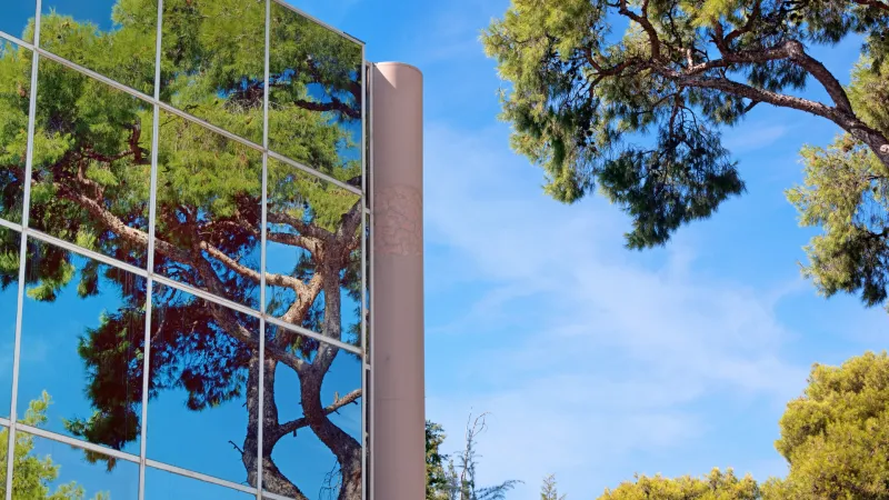 Reflection of a tree in the glass facade of a building