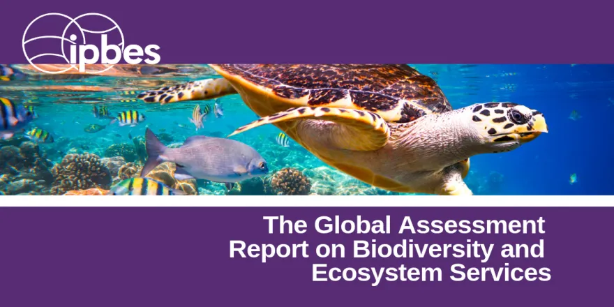 Global Assessment Report On Biodiversity And Ecosystem Services | IPBES ...