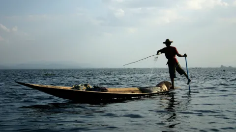 Burmese man fishing