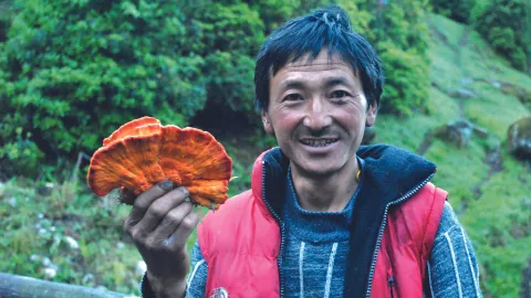Man holding a fungus used in cover of sustainable use assessment summary for policymakers