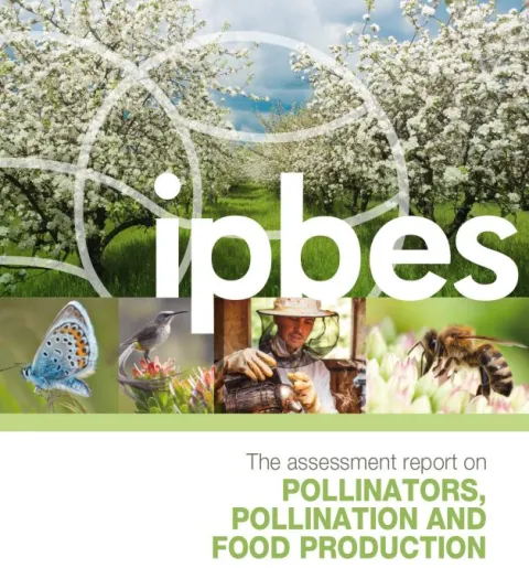 What does an IPBES product look like? Cover of pollination assessment