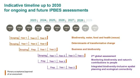 Indicative timeline up to 2030 for IPBES assessments